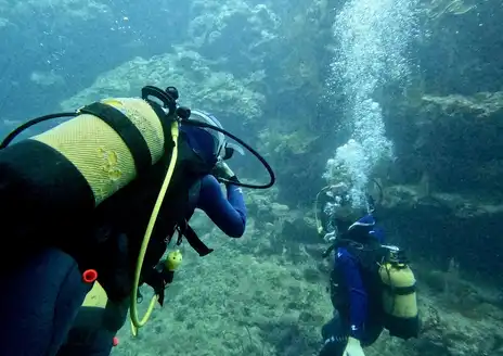 Babou Côté Océan diving
