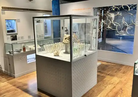 New Caledonia Museum