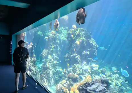 Nouméa Aquarium