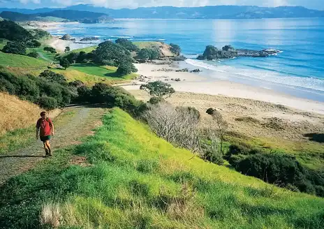 Tawharanui Regional Park