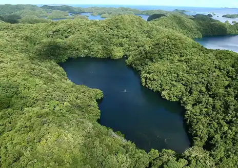 Jellyfish Lake