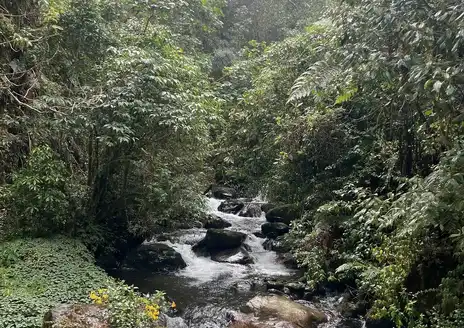Sendero Los Quetzales