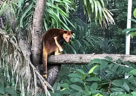 Port Moresby Nature Park