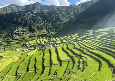 Banaue Rice Terraces