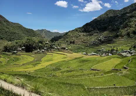 Rice Terraces of the Philippine Cordilleras
