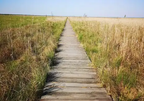 Biebrza