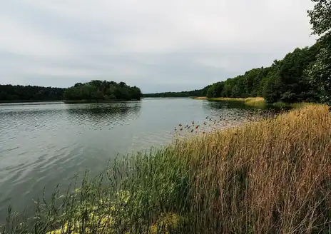 Wielkopolska