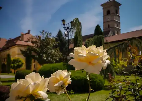 Alba Iulia