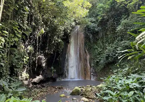 Diamond Falls Botanical Gardens & Mineral Baths