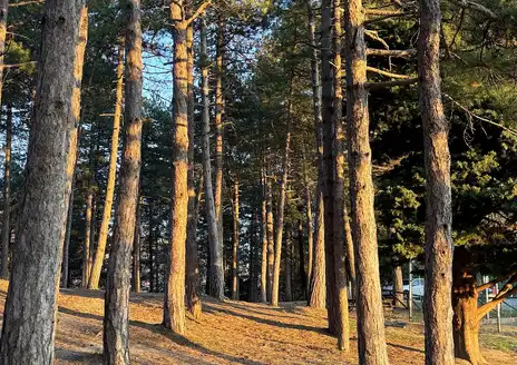 Parco di Montecchio