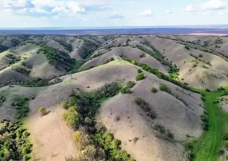 Deliblato Sands