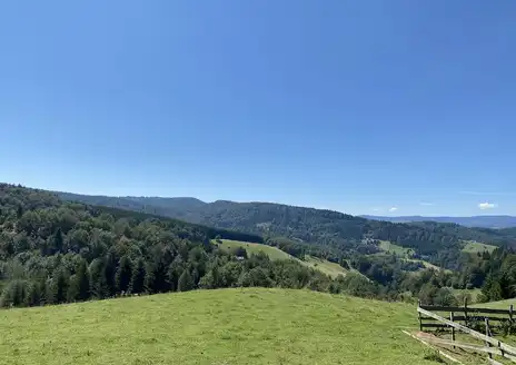 Golija