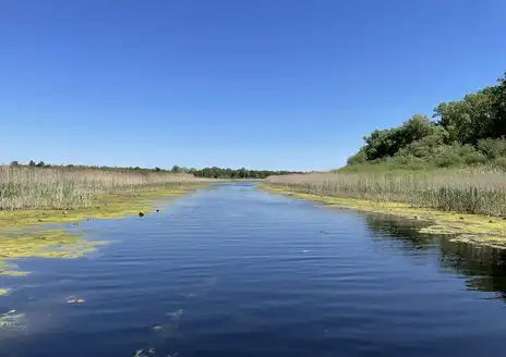 Obedska Bara