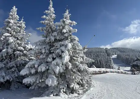 Kopaonik