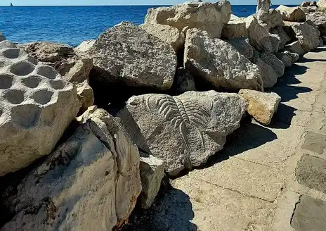 Piran Beach