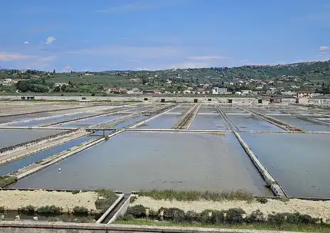 Sečovlje Salina Nature Park