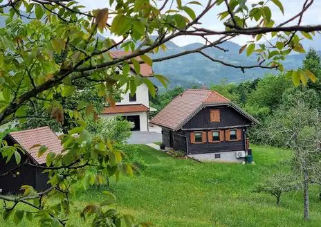 Savinjska Valley