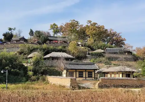Yangdong