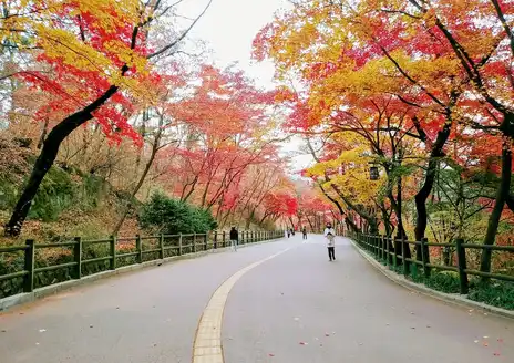 Namsan Mountain Trail