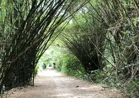 Peperpot Nature Park