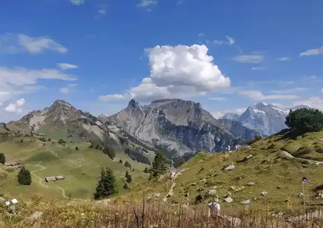 Schynige Platte Panorama Trail