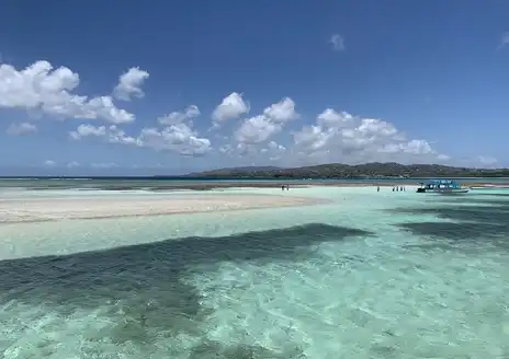 Buccoo Reef