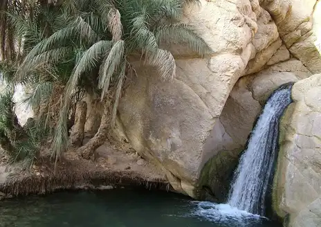 Tozeur