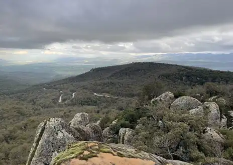 El Feija