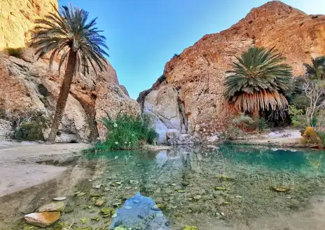 Chebika Oasis