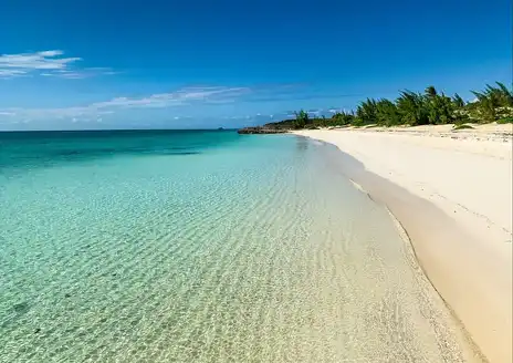Taylor Bay Beach
