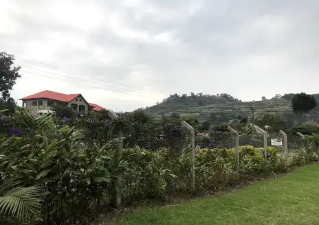 Kisoro