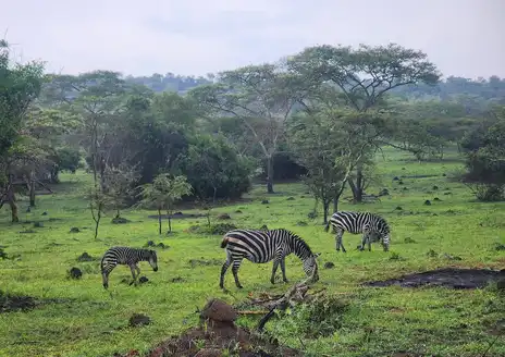 Lake Mburo