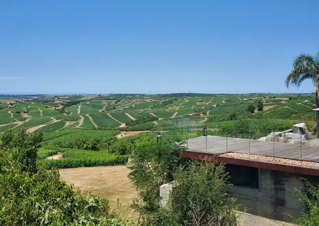 Bodega Garzón