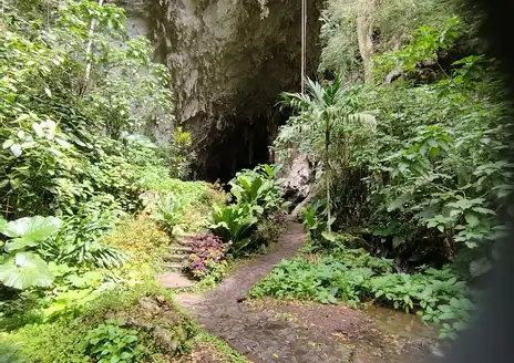 Cueva del Guácharo Trail