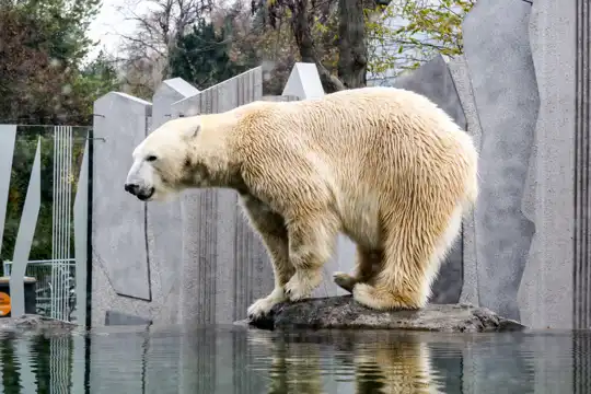 Tiergarten Schönbrunn