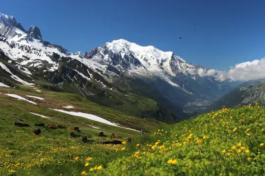 Tour du Mont Blanc