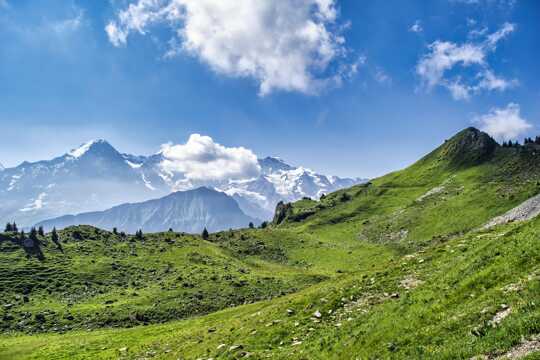 Haute Route