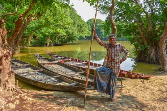 Sundarbans