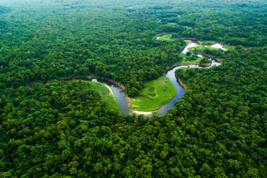Amazon Rainforest
