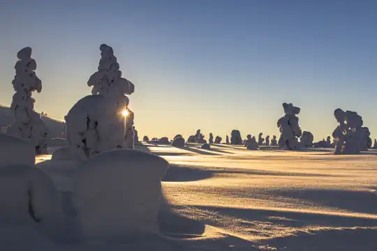 Finland - national park - Pallas-Yllästunturi