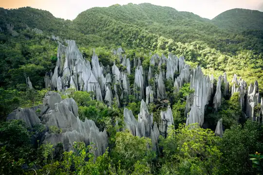 Gunung Mulu