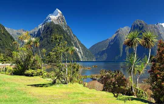 Fiordland