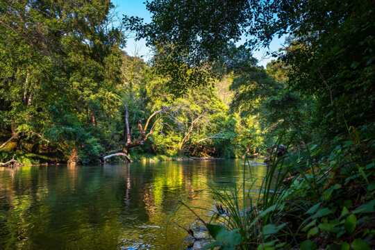 Manu National Park