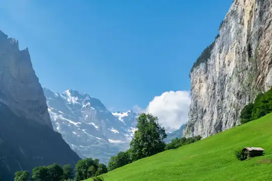 Swiss