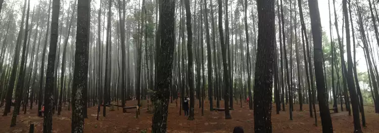 Backpacking in sceneries