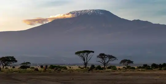 Tanzania - unique site - Kilimanjaro