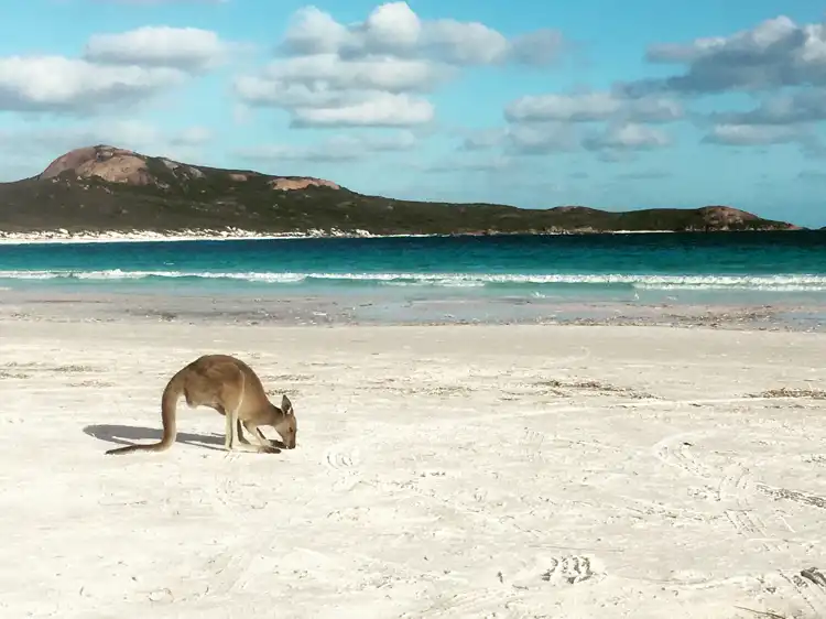 Backpacking in wildlife